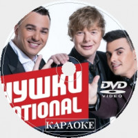 Иванушки International Караоке. Универсальный Диск DVD Видео для любого DVD плеера. 2024 год. 50 песен. 1 диск. DVD-5. D-588