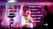 Караоке TOP of the HITs 2024 №01. Универсальный диск DVD Видео для любого DVD плеера. 51 песня. 1 диск. DVD-5. D-836