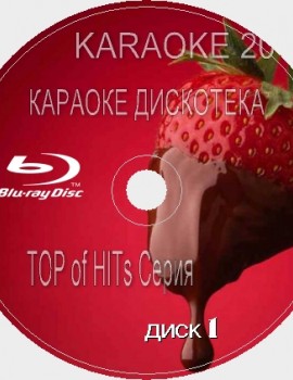 TOP of the HITs 2016. Сезон 3. 200 песен для любого Blu-ray Видео Караоке от KARAOKE-DISC.CLUB