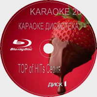 TOP of the HITs 2016. Сезон 3. 200 песен для любого Blu-ray Видео Караоке от KARAOKE-DISC.CLUB